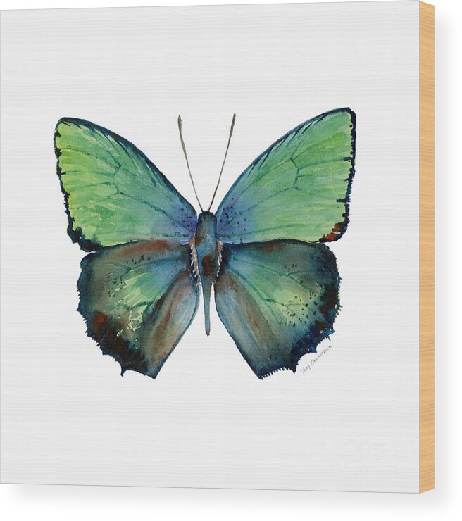 Arhopala Wood Print featuring the painting 52 Arhopala Aurea Butterfly by Amy Kirkpatrick