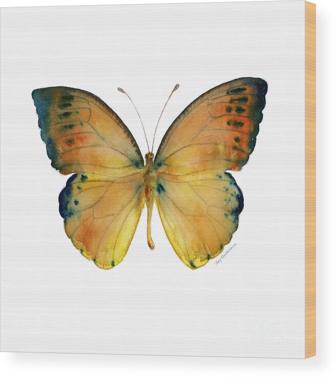 Leucippe Wood Print featuring the painting 53 Leucippe Detanii Butterfly by Amy Kirkpatrick
