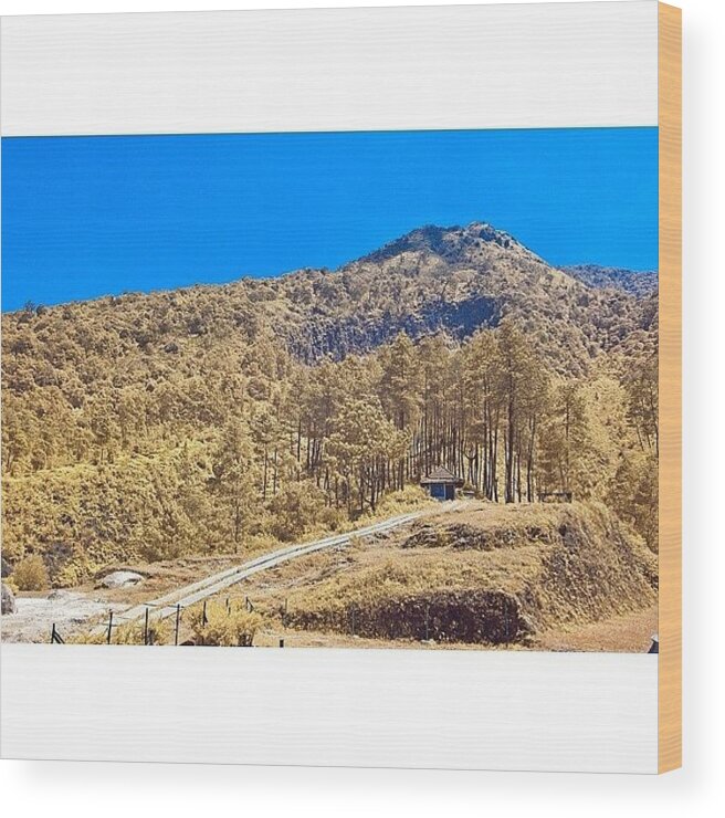 Indonesiatravel Wood Print featuring the photograph Instagram Photo #581376465488 by Tommy Tjahjono