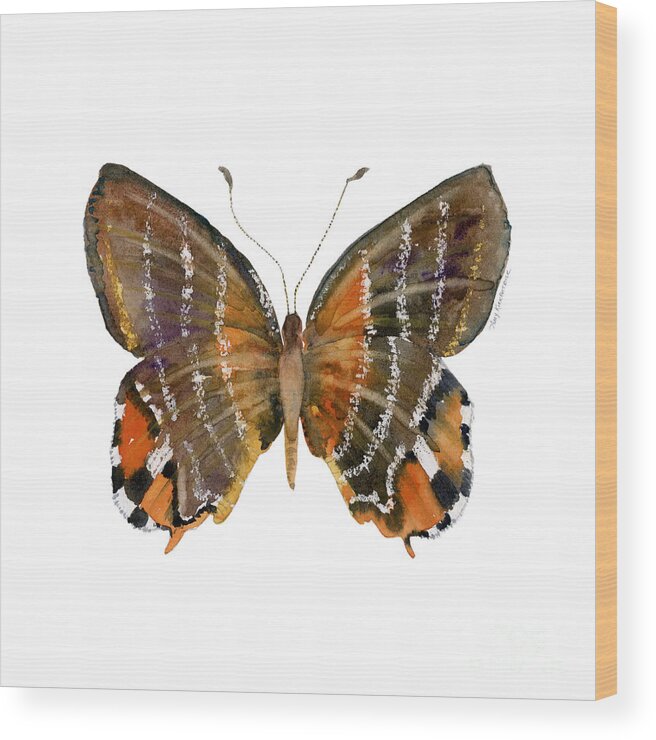 Euselasia Butterfly Wood Print featuring the painting 60 Euselasia Butterfly by Amy Kirkpatrick