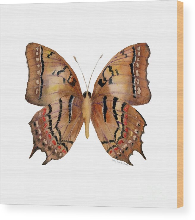 Galaxia Butterfly Wood Print featuring the painting 62 Galaxia Butterfly by Amy Kirkpatrick