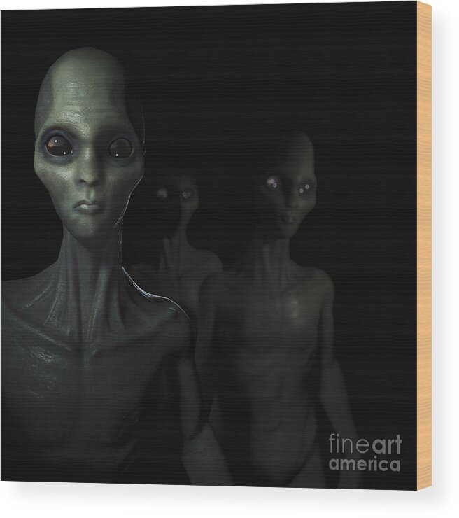 Copy Space Wood Print featuring the photograph Extraterrestrial Life #19 by Science Picture Co