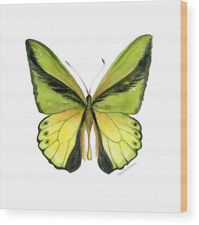 Goliath Butterfly Wood Print featuring the painting 8 Goliath Birdwing Butterfly by Amy Kirkpatrick