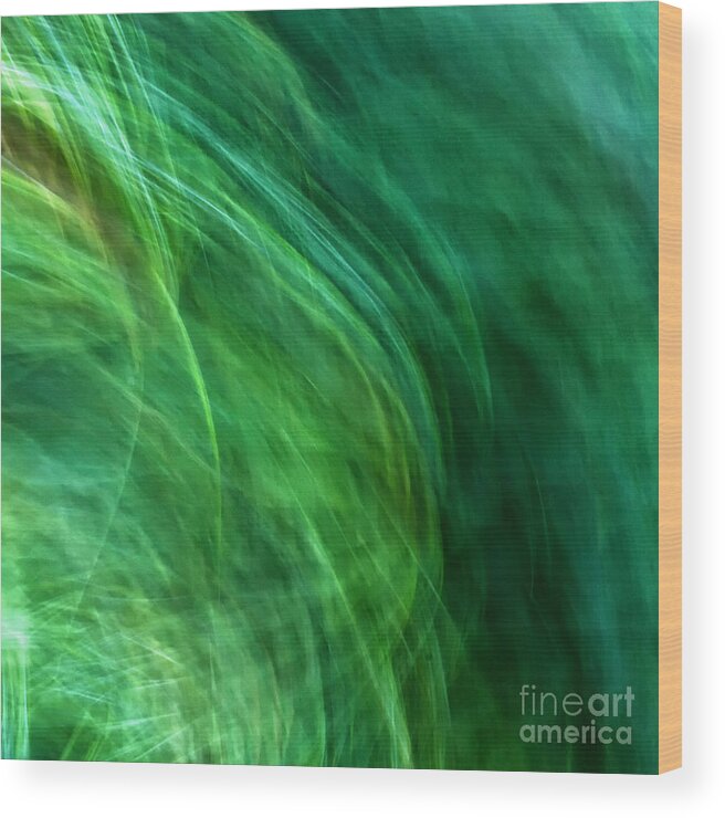Joanne Bartone Photographer Wood Print featuring the photograph Meditations on Movement in Nature #8 by Joanne Bartone