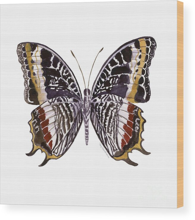 Castor Butterfly Wood Print featuring the painting 88 Castor Butterfly by Amy Kirkpatrick