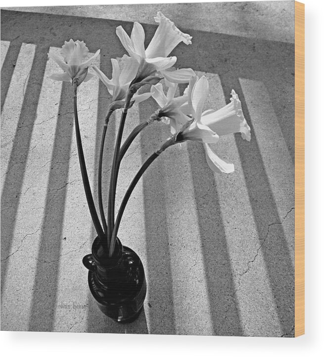 Narcissus Wood Print featuring the photograph A Brief Moment by Chris Berry