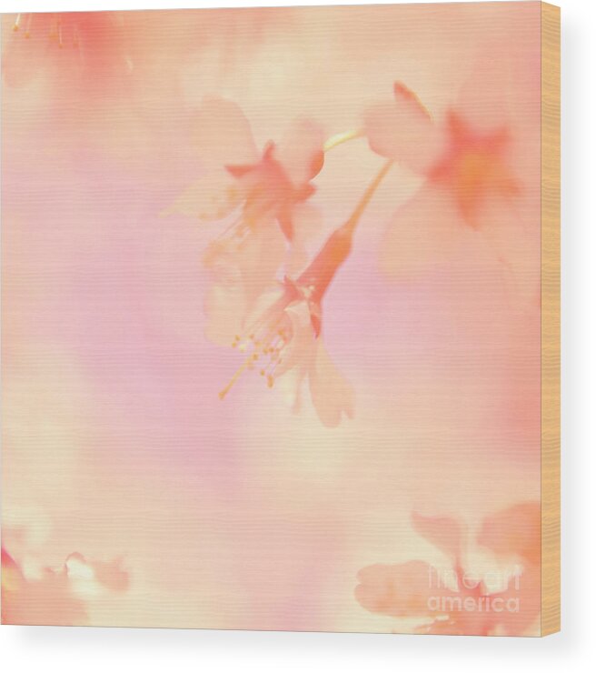Flower Wood Print featuring the photograph A Delicate Sense of Balance by Kim Fearheiley