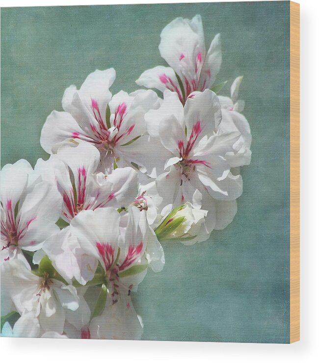 Flower Wood Print featuring the photograph A Touch of Class by Kim Hojnacki