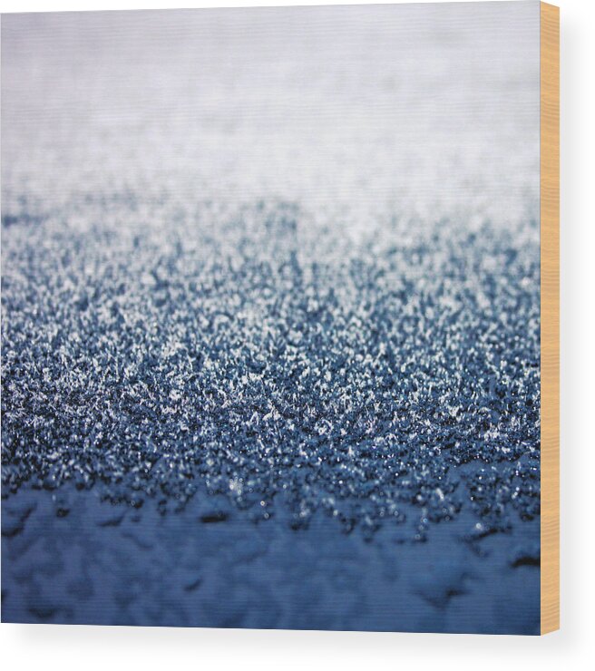 Frost Wood Print featuring the photograph A Touch of Frost by Mark Callanan