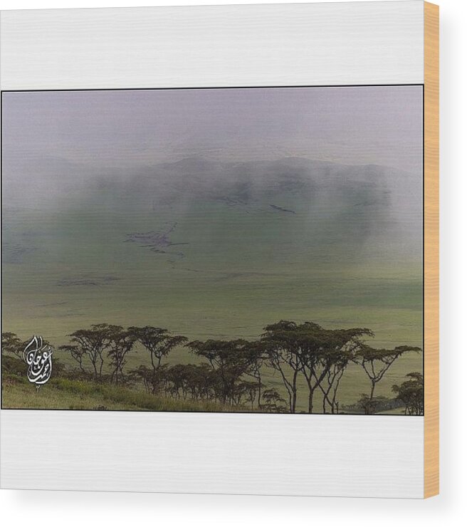 Garden Wood Print featuring the photograph A View From The Top Overlooking The by Ahmed Oujan