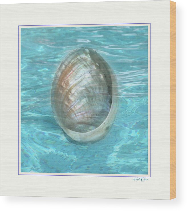 Beach Wood Print featuring the photograph Abalone Underwater by Linda Olsen