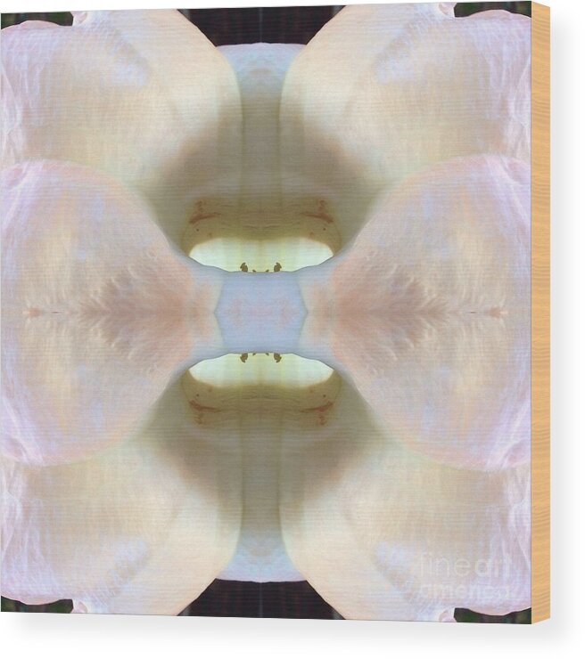 Flower Wood Print featuring the photograph Abstract Bloom by Alice Terrill