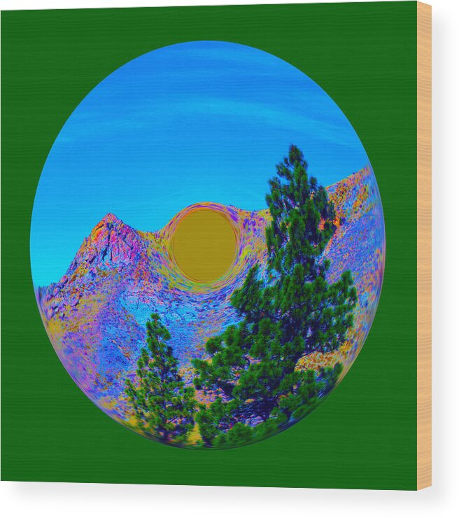 Orb Wood Print featuring the photograph Acid Desert Orb 2 by Brent Dolliver