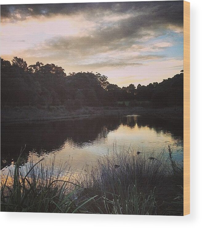 Clouds Wood Print featuring the photograph Along The #swamp #reflection #nature by Robyn Padden