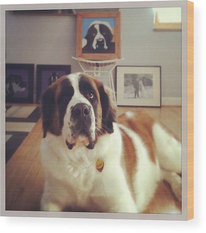 Cute Wood Print featuring the photograph ...and Of Course Sophie Freckles, Who by Frank R
