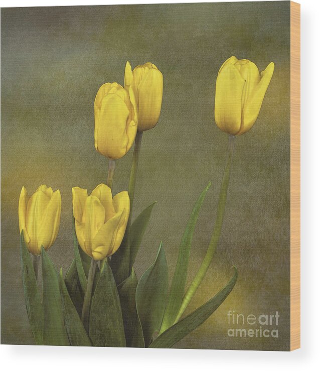 Tulips Wood Print featuring the photograph Antique Tulip Bouquet by Shirley Mangini