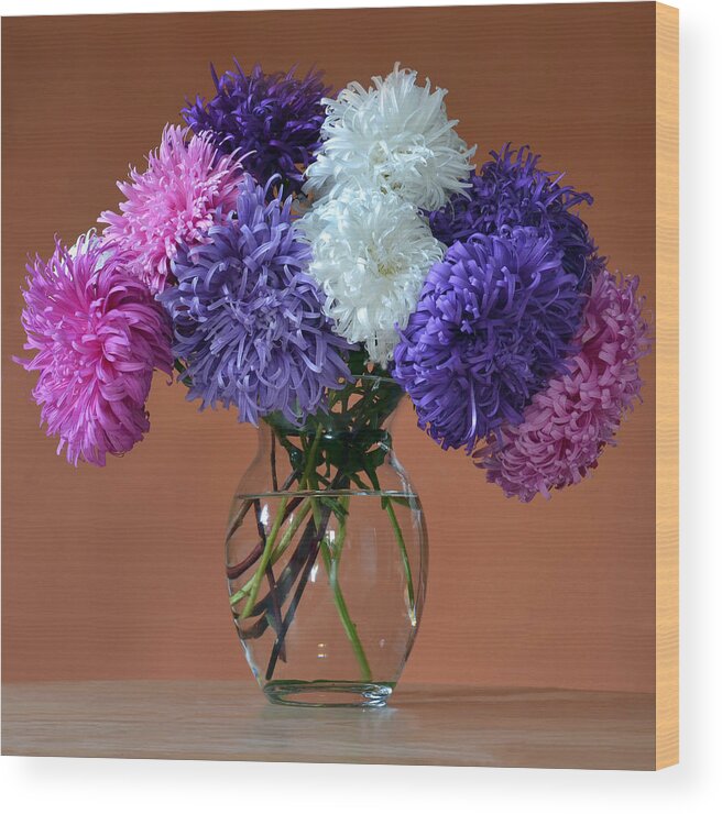 Asters Wood Print featuring the photograph Astonishing Asters. by Terence Davis