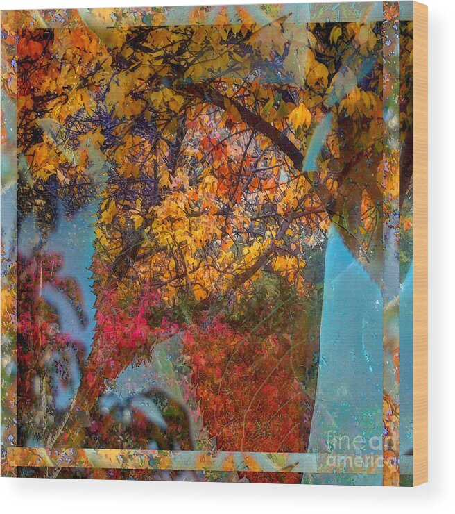 Autumn Wood Print featuring the photograph Autumn Fusion 5 by Jeff Breiman