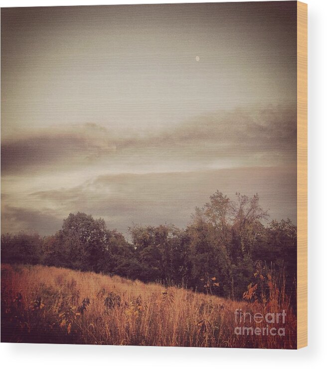 Moon Wood Print featuring the photograph Autumn Meadow by Angela Rath