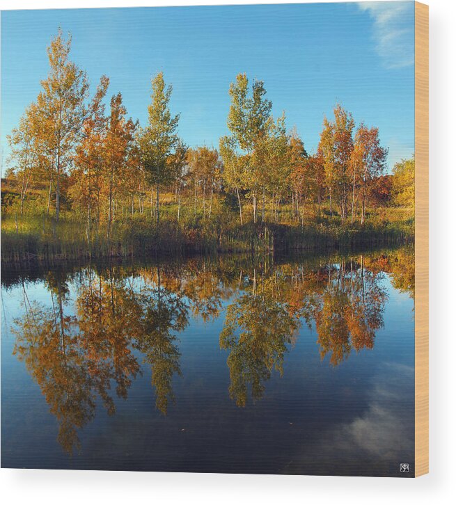 Autumn Wood Print featuring the photograph Autumn Reflection by John Meader