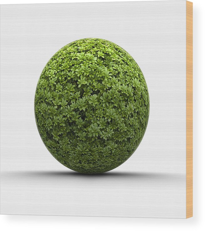 White Background Wood Print featuring the digital art Ball Of Leaves by Jorg Greuel
