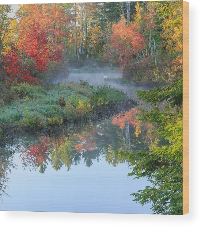 Autumn In New England Wood Print featuring the photograph Bantam River Autumn Square by Bill Wakeley