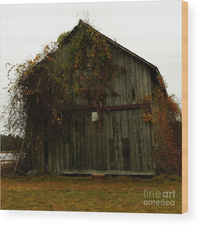 Fall Wood Print featuring the photograph Barn by Andrea Anderegg