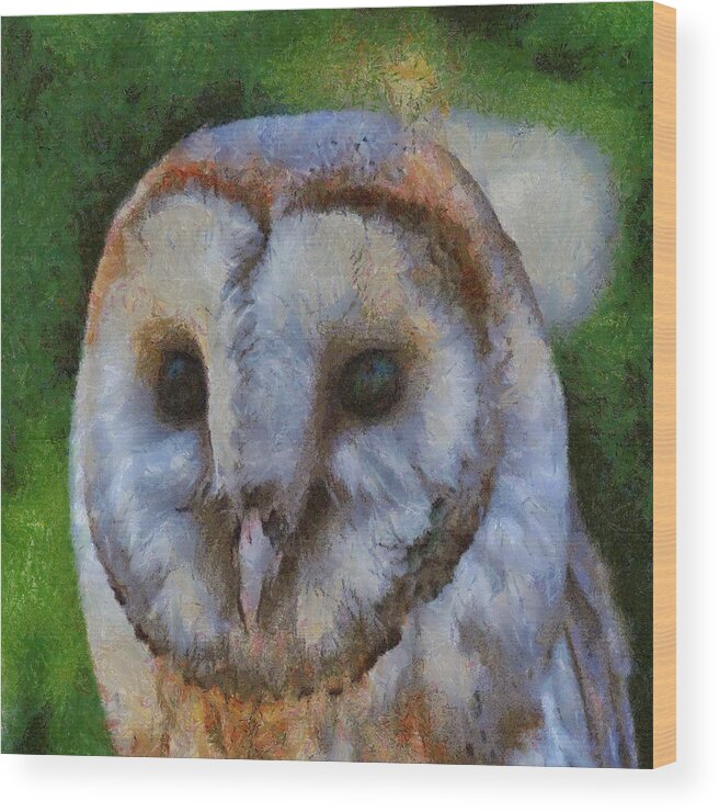 Owl Wood Print featuring the painting Barn Owl by Taiche Acrylic Art