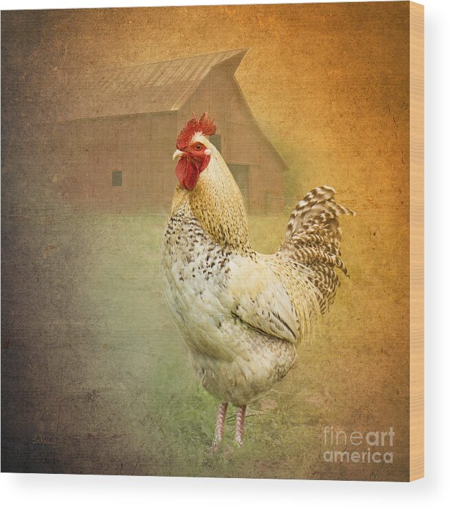 Rooster Wood Print featuring the photograph Barnyard Boss by Betty LaRue