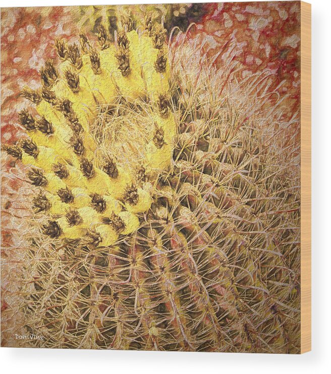 Arizona Wood Print featuring the photograph Barrel Cactus Blossoms by Don Vine
