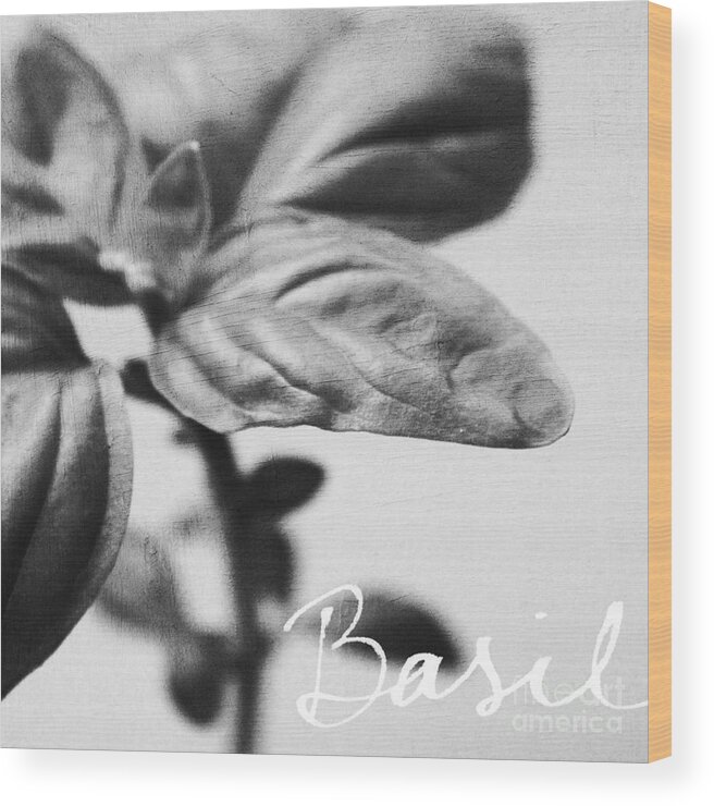 Basil Wood Print featuring the mixed media Basil by Linda Woods
