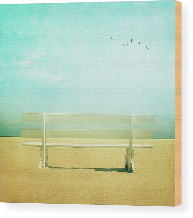 Tranquility Wood Print featuring the photograph Bench With Clouds And Birds by Diana Kehoe Photography