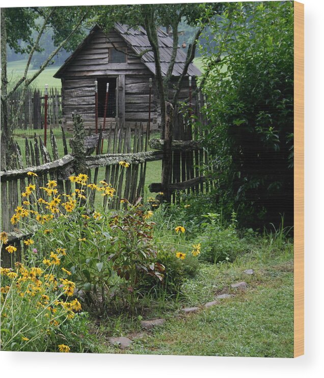 Nature Wood Print featuring the photograph Black-Eyed Susans by Cathy Harper