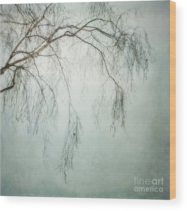 Twig Wood Print featuring the photograph bleakly III by Priska Wettstein