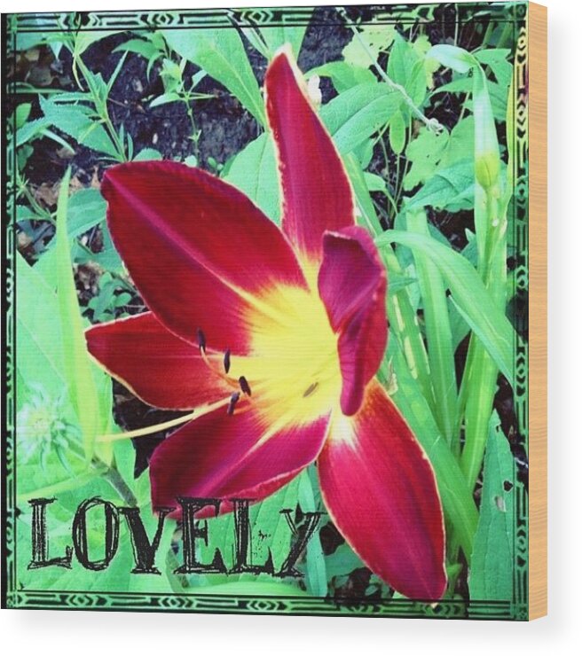 Flower Wood Print featuring the photograph #blooming This Morning. A #lovely #lily by Teresa Mucha
