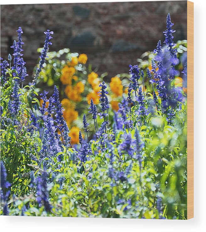 Stone Wall Wood Print featuring the photograph Blue And Yellow Flowers by Dorte Fjalland