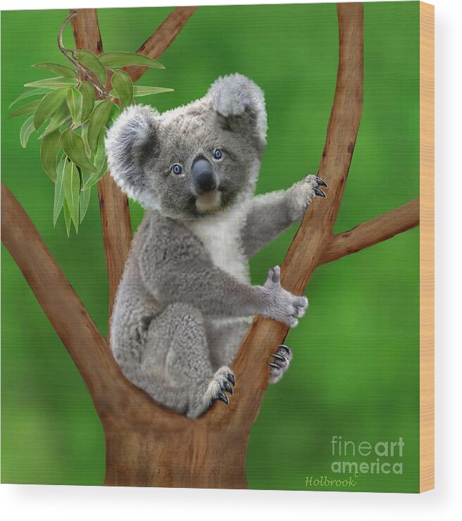 Cute Koala Bears Wood Print featuring the digital art Blue-Eyed Baby Koala by Glenn Holbrook