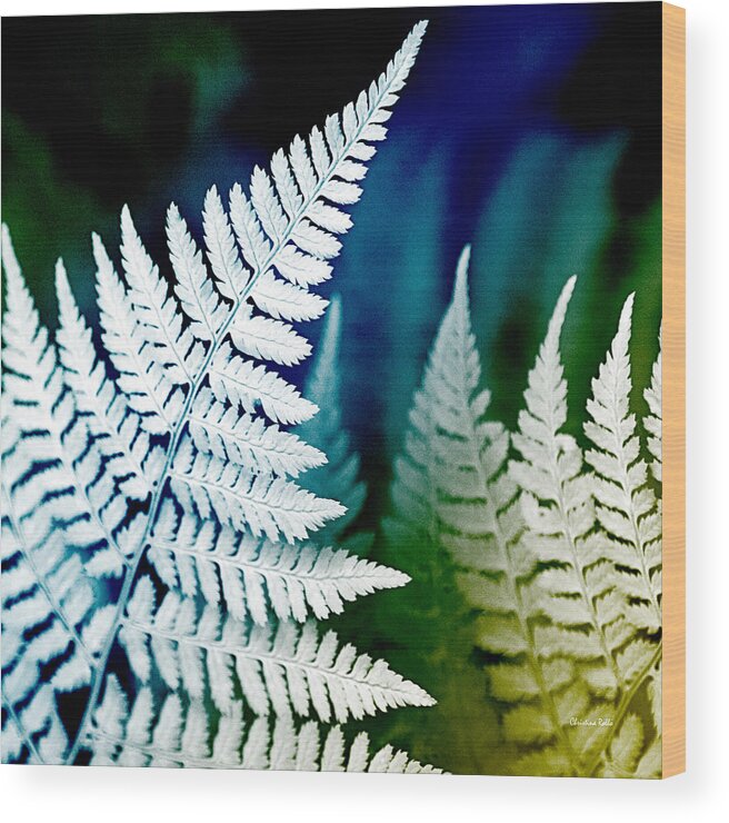 Fern Wood Print featuring the photograph Blue Fern Leaf Art by Christina Rollo