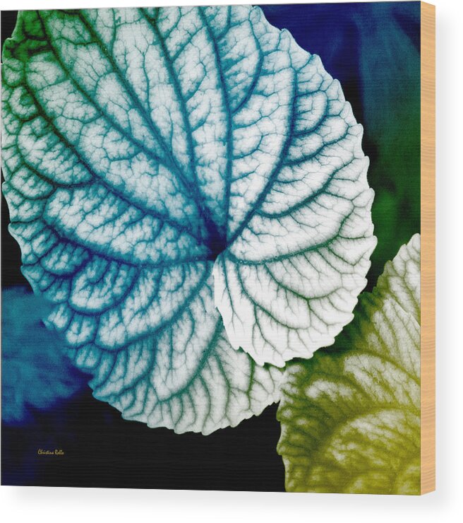 Blue Wood Print featuring the mixed media Blue Leaf Pattern Square by Christina Rollo