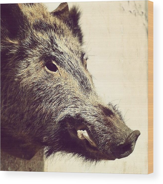 Love Wood Print featuring the photograph Boar! by Emanuela Carratoni