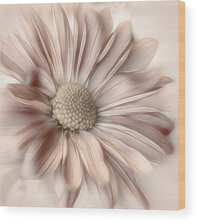 Floral Wood Print featuring the photograph Bridesmaid Ballgown by Darlene Kwiatkowski