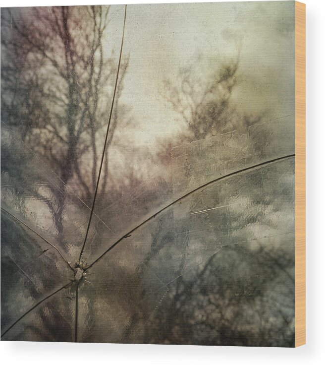 Sally Banfill Wood Print featuring the photograph Broken Sky by Sally Banfill
