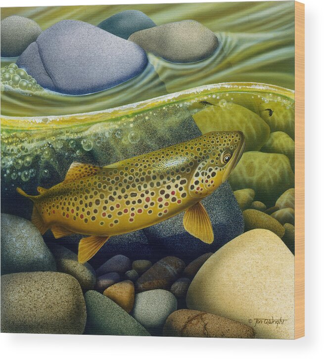 Jon Q Wright Wood Print featuring the painting Brown Trout by JQ Licensing
