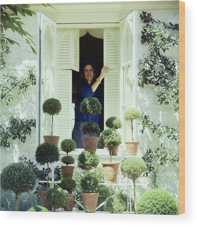 Beauty Wood Print featuring the photograph Bunny Mellon By Her Potted Trees by Horst P. Horst