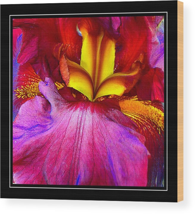 Iris Wood Print featuring the photograph Burgundy Iris Enhanced by Randy Rosenberger