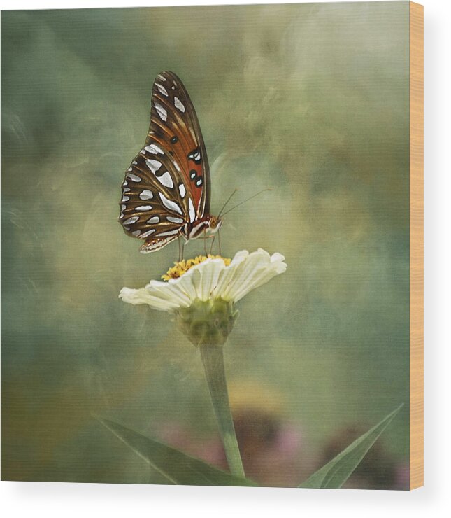 Butterfly Wood Print featuring the photograph Butterfly Dreams by Kim Hojnacki