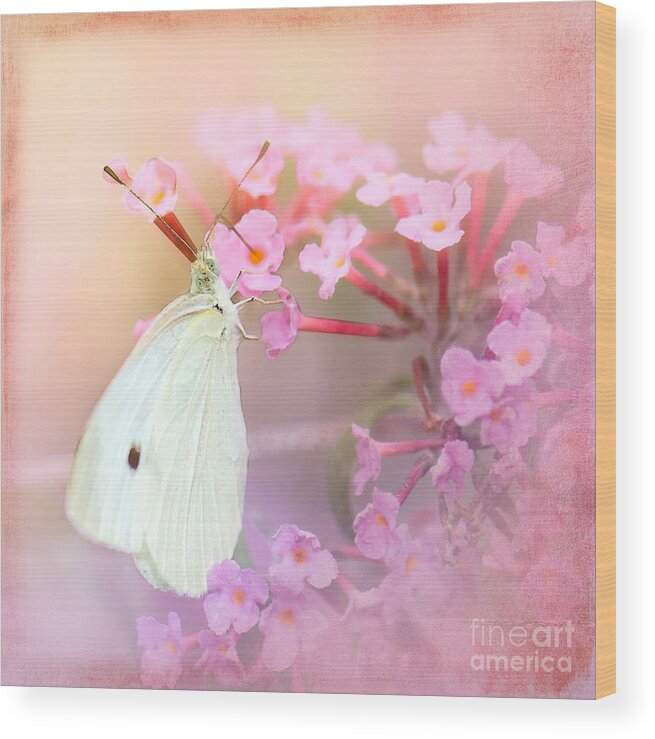Cabbage White Butterflies Wood Print featuring the photograph Butterrfly Joy by Betty LaRue