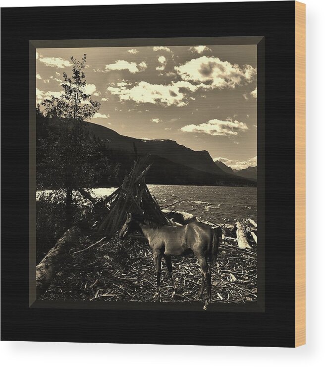 Western Wood Print featuring the photograph Camp Site by Barbara St Jean