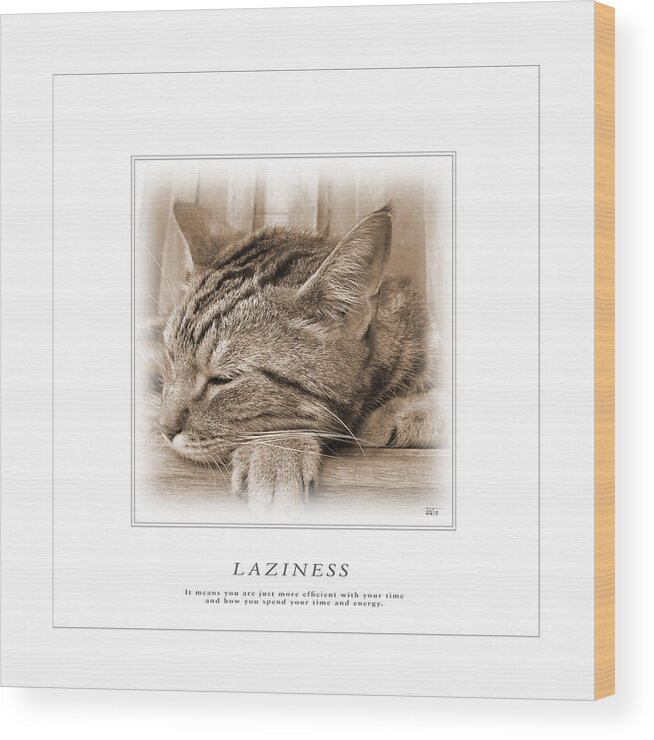 Cat Wood Print featuring the photograph Cat Reflections 2 by Helene U Taylor