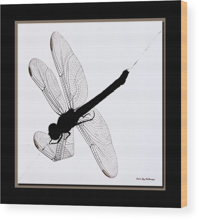 Dragonfly In Spiderweb Photograph Wood Print featuring the photograph Catch of the Day by Lucy VanSwearingen